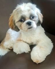 Friseur-Oberhausen-Emma